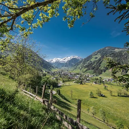 Hochalmbahnen 20w1, Alpenveilchen, Nahe Gondel, Hunde Willkommen Daire Rauris
