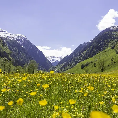 شقة Hochalmbahnen Chalets 20W1, Alpenveilchen, Nahe Gondel, Hunde Willkommen *