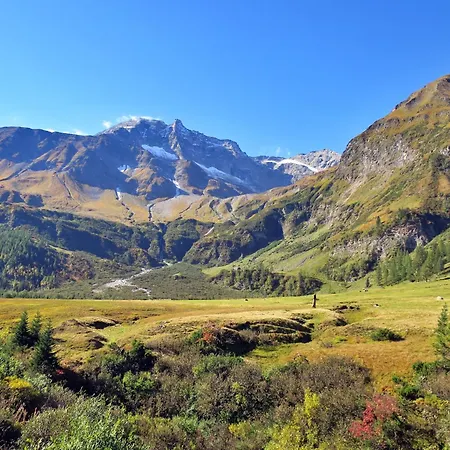 Hochalmbahnen 20w1, Alpenveilchen, Nahe Gondel, Hunde Willkommen Daire *