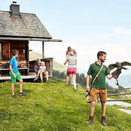 Hochalmbahnen 20w1, Alpenveilchen, Nahe Gondel, Hunde Willkommen Appartamento Rauris
