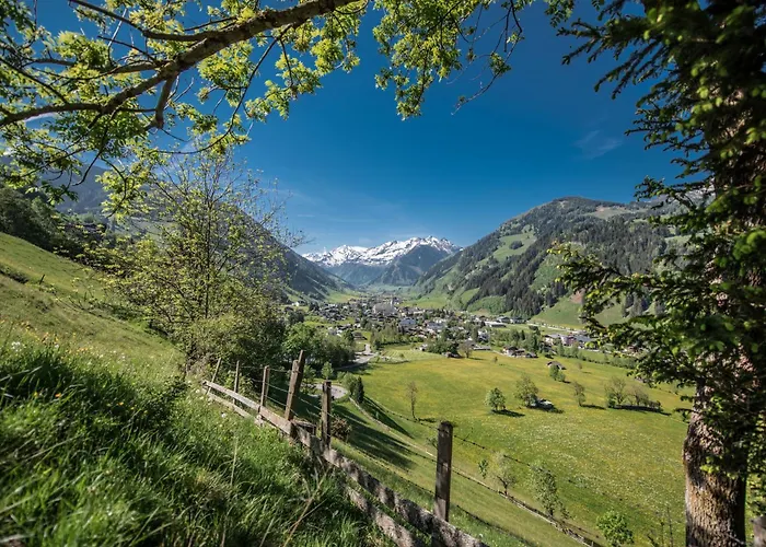 Hochalmbahnen 20w1, Alpenveilchen, Nahe Gondel, Hunde Willkommen Daire Rauris