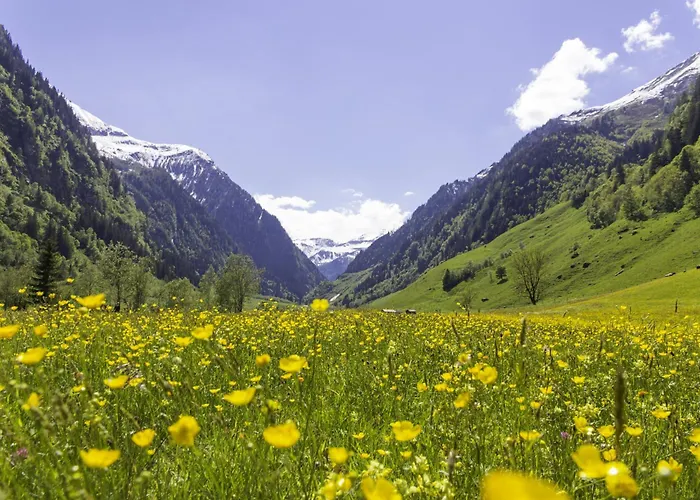 Daire Hochalmbahnen 20w1, Alpenveilchen, Nahe Gondel, Hunde Willkommen *