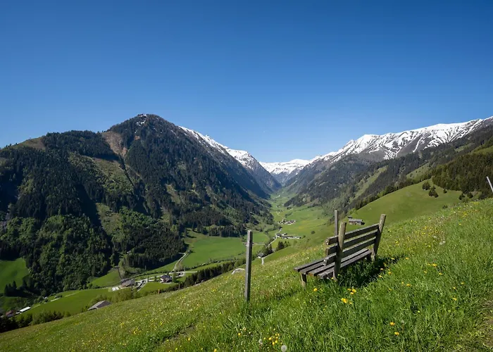 Hochalmbahnen 20w1, Alpenveilchen, Nahe Gondel, Hunde Willkommen *