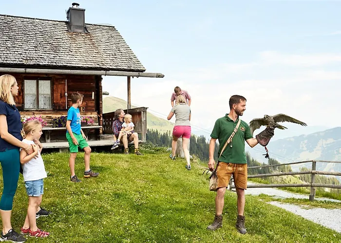 Hochalmbahnen 20w1, Alpenveilchen, Nahe Gondel, Hunde Willkommen Daire Rauris